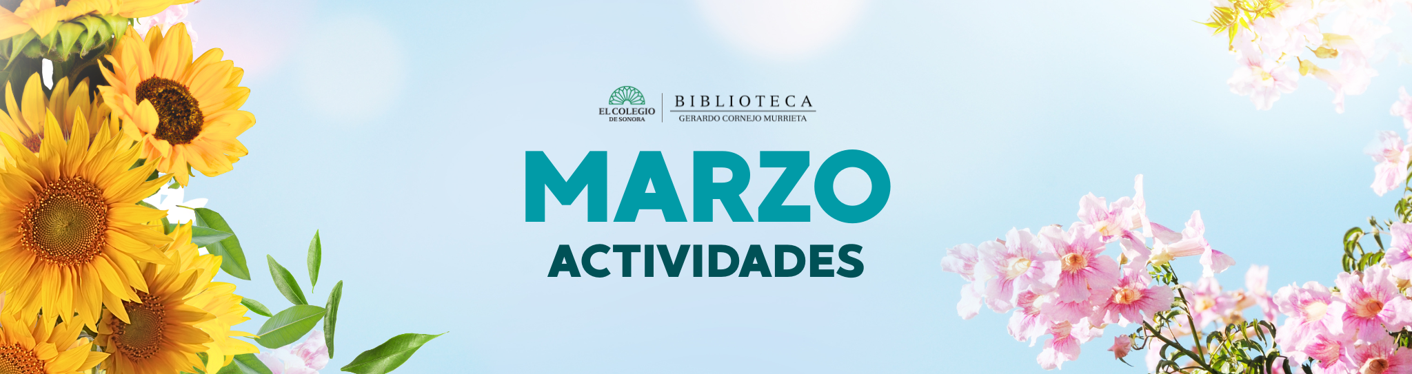 actividades-marzo-2026